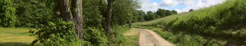 Angenehme rund 14 km lange Wanderung an der Grenze zwischen Kraichgau und Kleinem Odenwald.